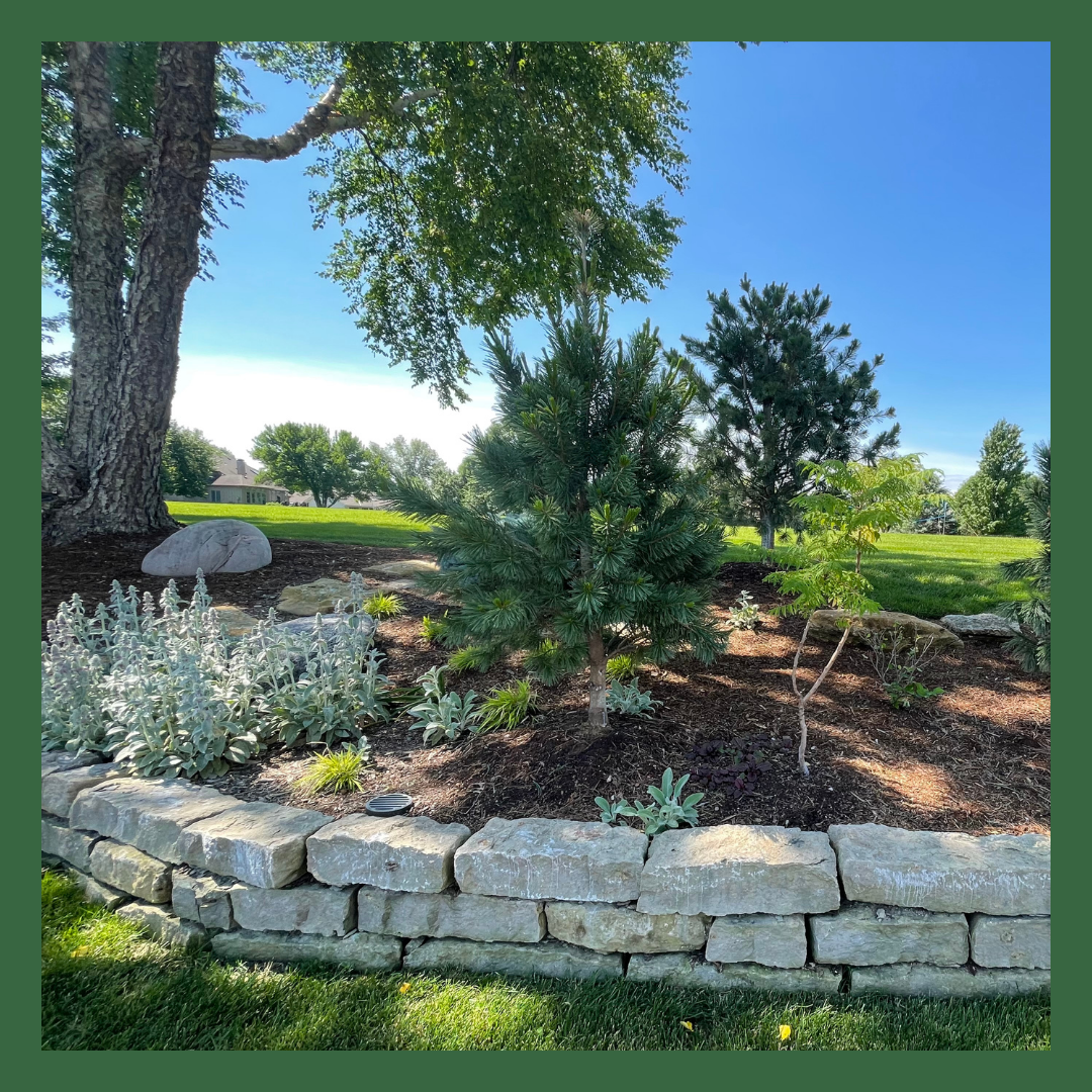Blue Springs Garden Center Serving Kansas City | Colonial Gardens